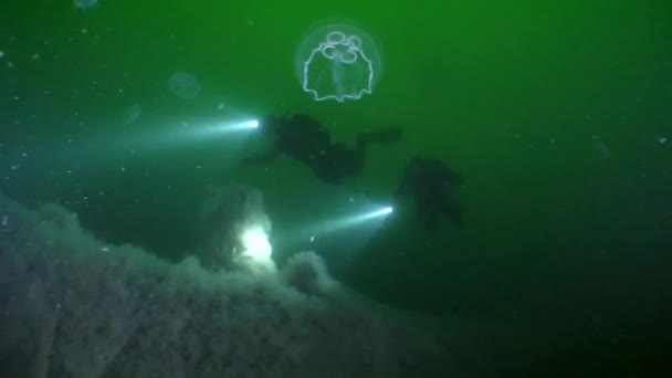 Duikers zwemmen over de zijkant van het gezonken schip op een groene achtergrond van de waterkolom. — Stockvideo