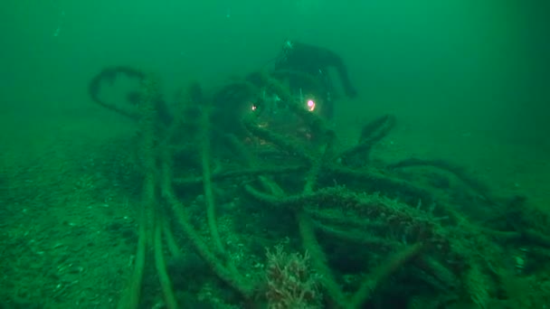 海底の通信ケーブルの束の近くのビデオカメラ. — ストック動画
