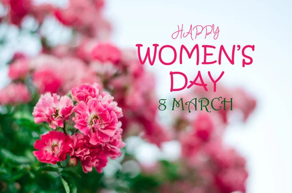 Felicitarea Happy Woman Day Martie Conceptul Zilei Internaţionale Flori Sânge — Fotografie, imagine de stoc