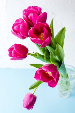 Kristal bir vazoda pembe laleler. Bahar çiçekleri. Bahar arka planı. Uluslararası Kadınlar Günü ve Anneler Günü geçmişi.