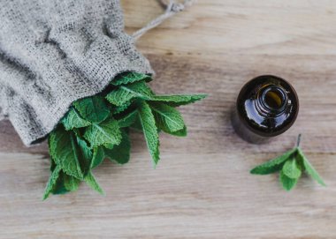 Doğal Nane Özü Yağı Taze Nane Yapraklı Cam Şişede