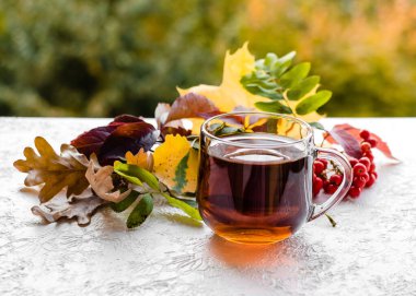 Beyaz arka planda cam bir fincanda bitki çayı. Bir fincan çay, sonbahar yaprakları ve bitkilerden oluşan sonbahar kompozisyonu. Sonbahar konsepti. Yakın plan.