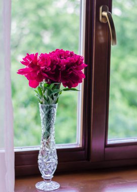 Pencere pencere gezen şakayık demeti. İç dizaynda çiçekler. 