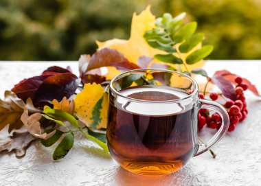 Beyaz arka planda cam bir fincanda bitki çayı. Bir fincan çay, sonbahar yaprakları ve bitkilerden oluşan sonbahar kompozisyonu. Sonbahar konsepti. Yakın plan.