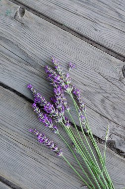 Yakından lavanta çiçekleri. Bir demet lavanta çiçeği.