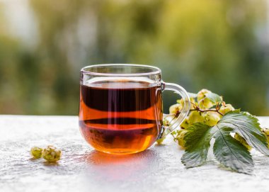 Taze yeşil zıplama konisi ve bir fincan bitki çayı. Zıplama külahlı çay