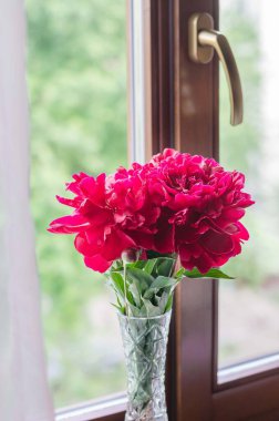 Pencere pencere gezen şakayık demeti. İç dizaynda çiçekler. 