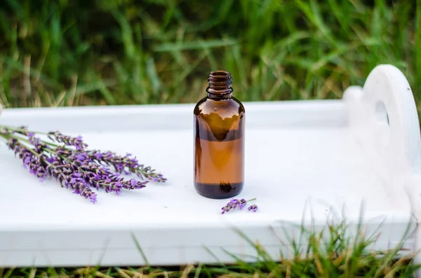 Aceite Hierbas Flores Lavanda Sobre Fondo Blanco Botella Oscura Aceite — Foto de Stock