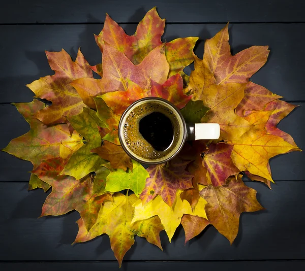 가 배경에 컵 커피 잎. — 스톡 사진