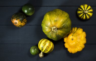 Kabak, karpuz, fındık ve squash.