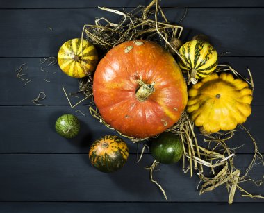 Kabak, karpuz, fındık ve squash.
