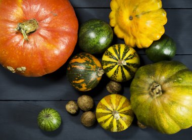 Kabak, karpuz, fındık ve squash.