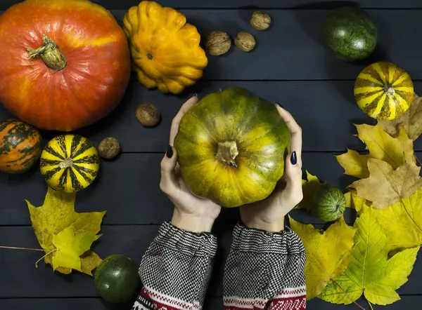 Female hand holding a pumpkin — Stock Photo, Image