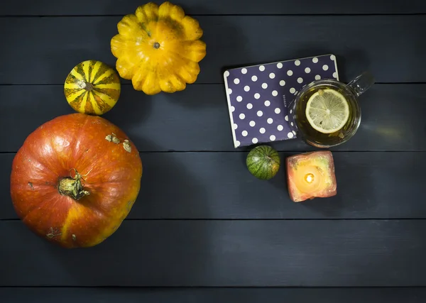 Cup of tea, pumpkin, squash and notebook — Stock Photo, Image