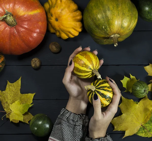 Female hand holding a pumpkin — Stock Photo, Image