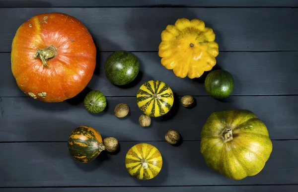 Pumpkins, watermelon, nuts, and squash. — Stock Photo, Image