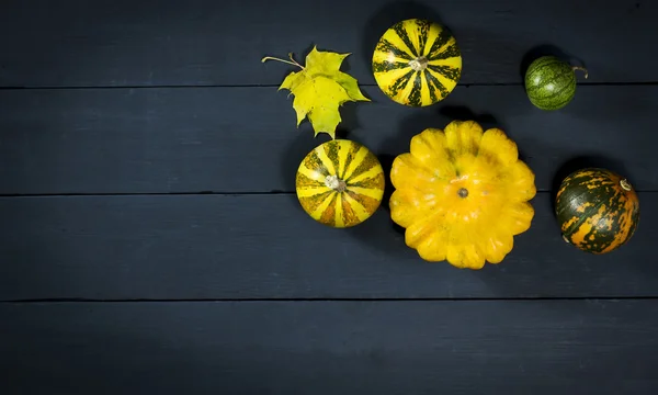 Pumpkins, watermelon, nuts, and squash. — Stock Photo, Image