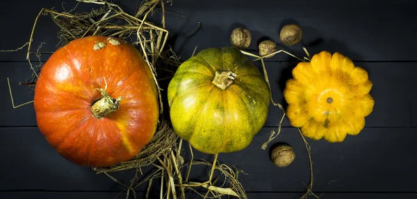 Pumpkins, watermelon, nuts, and squash. — Stock Photo, Image