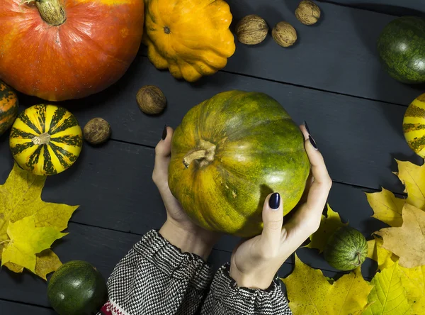 Female hand holding a pumpkin — Stock Photo, Image