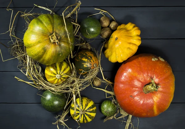 Pumpkins, watermelon, nuts, and squash. — Stock Photo, Image