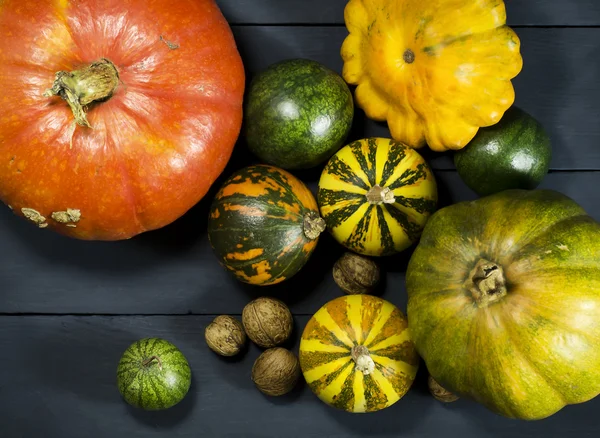 Pumpkins, watermelon, nuts, and squash. — Stock Photo, Image