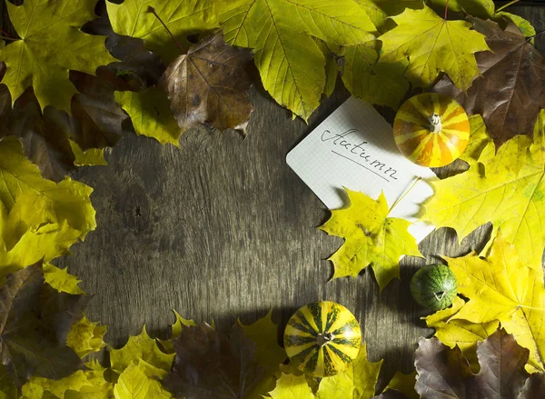 Hojas coloridas de otoño con calabazas sobre un fondo de madera . — Foto de Stock