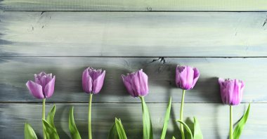 ahşap arka plan bahar laleler