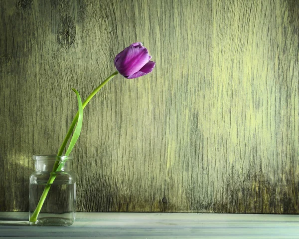 Tulipanes de primavera en un frasco de vidrio sobre un fondo de madera — Foto de Stock