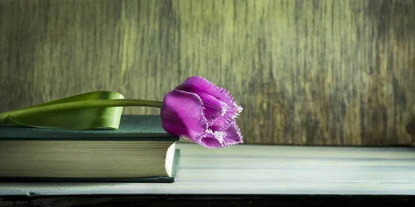 Tulpen auf einem alten Buch. hölzerner Hintergrund — Stockfoto