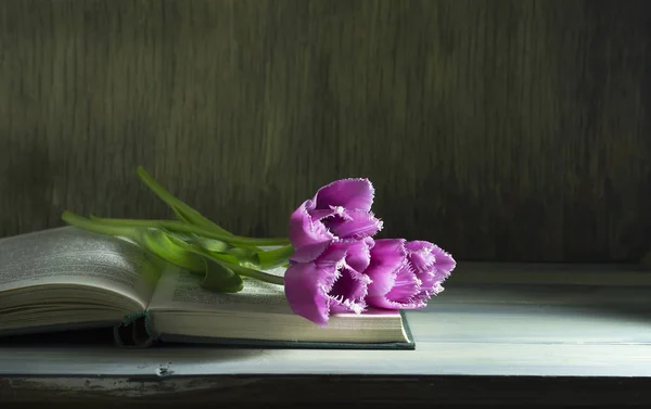 Tulipas de primavera em um livro antigo. Fundo de madeira — Fotografia de Stock