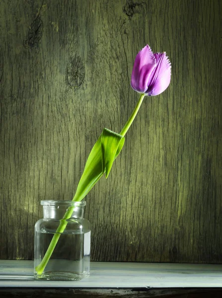 Tulipas de primavera em um frasco de vidro em um fundo de madeira — Fotografia de Stock