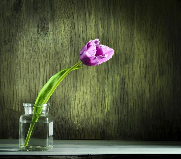 Tulipanes de primavera en un frasco de vidrio sobre un fondo de madera — Foto de Stock