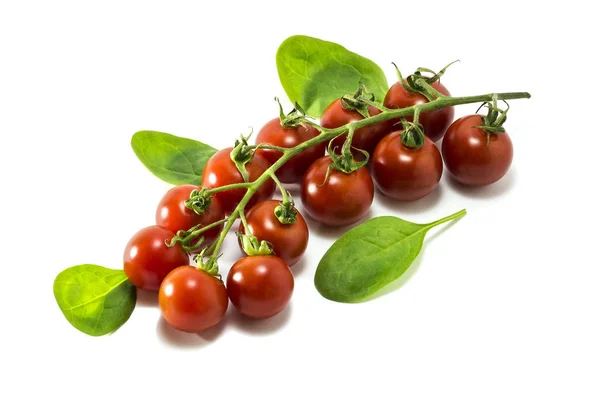 Mature cherry tomatoes o a white background. — Stock Photo, Image