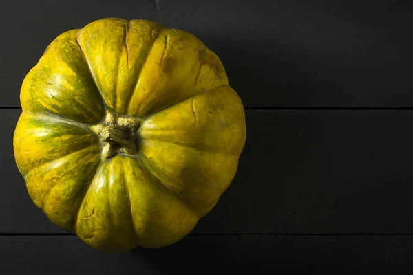 Ripe beautiful pumpkin on a dark background. Harvest. — Stock Photo, Image