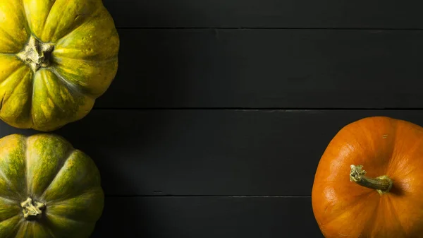 Ripe beautiful pumpkins on a dark background. Harvest. — Stock Photo, Image