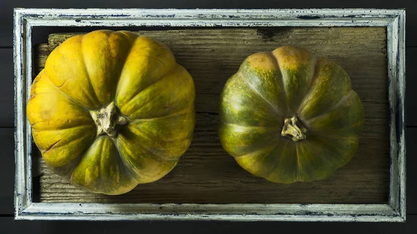 Ripe pumpkin on a wooden background in a frame. Harvest. — Stock Photo, Image