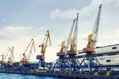 Bağlantı noktası Vinçler güneşli bir günde. Dışa aktarın. Lojistik ve nakliye.