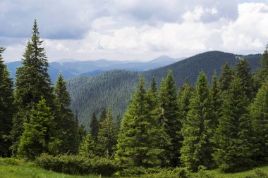 Dağların güzel manzara. Seyahat eder. Turizm. Ukrayna. Karpatlar.