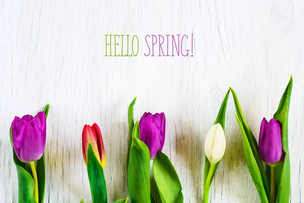 Vackra tulpaner mot vit trä bakgrund. Inskriften Hej våren. Kopiera utrymme. — Stockfoto