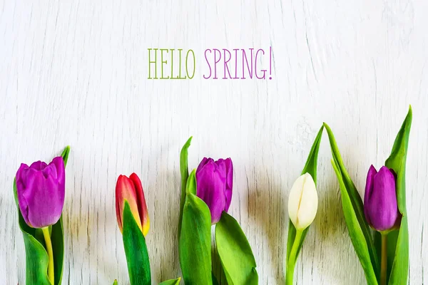 Tulipas bonitas contra fundo de madeira branca. A inscrição Hello spring. Espaço de cópia . — Fotografia de Stock