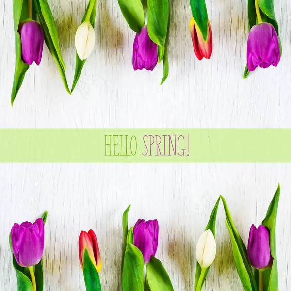 Krásné tulipány bílé dřevěné pozadí. Nápis Ahoj jaro. Kopírovat prostor. — Stock fotografie