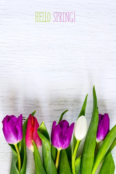 아름 다운 튤립 화이트 나무 배경입니다. 비문 안녕하세요 봄입니다. 공간 복사. — 스톡 사진
