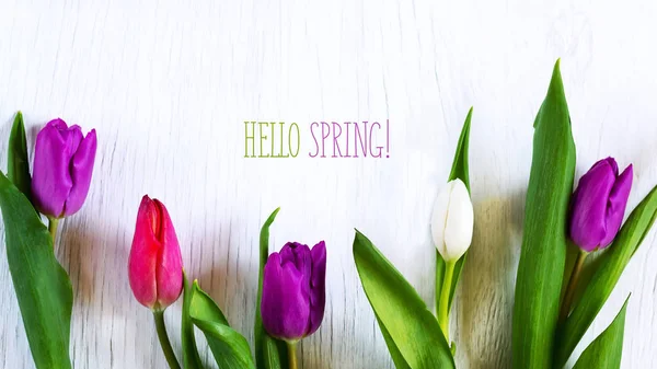 Vackra tulpaner mot vit trä bakgrund. Inskriften Hej våren. Kopiera utrymme. — Stockfoto