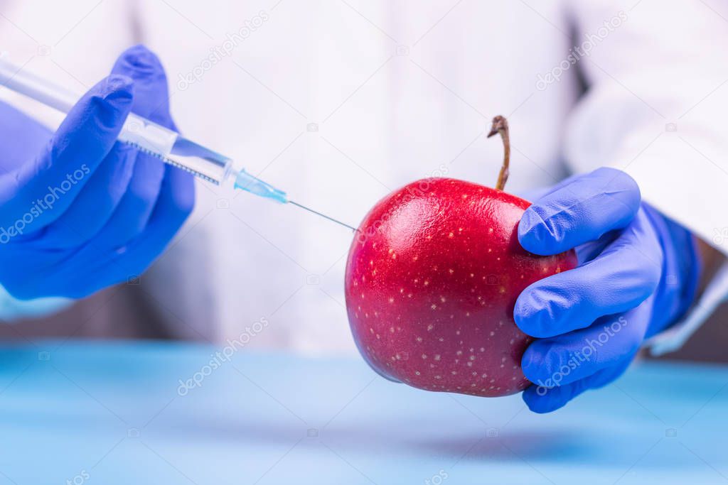 Injection into an apple. A hand in a medical glove with a syringe on a blue background. Genetic modified foods.