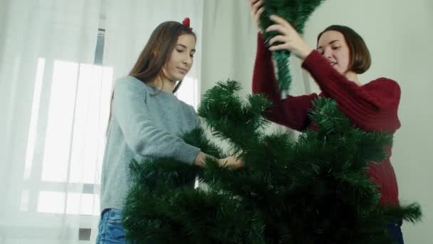 Dos muchacha joven que prepara el árbol de Navidad para adornamientos y que se divierten Nuevo año — Vídeos de Stock