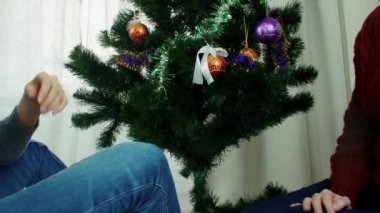 Eğlenmeye yeni yıl hazırlık iki genç kadın Noel dekorasyon ağaç