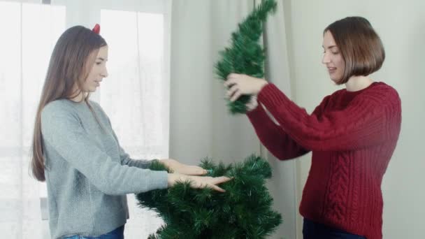 Two young girl preparing Christmas tree for decorations and having fun New year — ストック動画