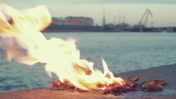 Brûler les feuilles sur un remblai de pierre fermer — Video