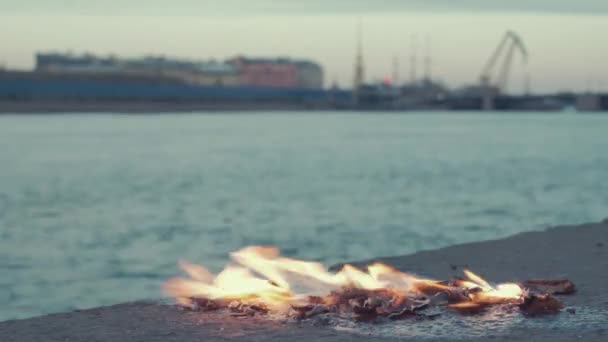 Спалювання листя на кам'яній набережній крупним планом — стокове відео