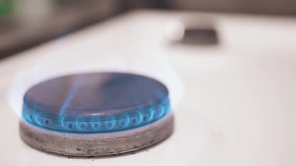 Égő gáz főzőlap közelről — Stock videók